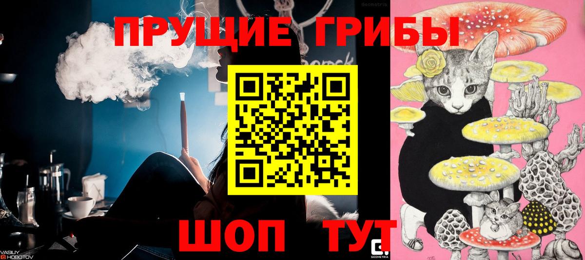 Псилоцибиновые грибы Psilocybine cubensis Красноуфимск